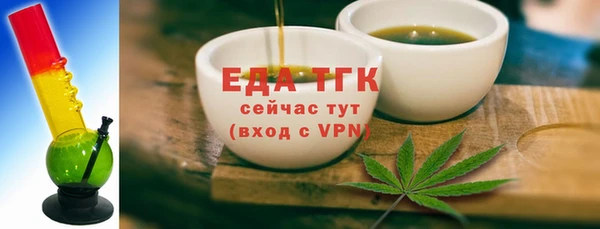 spice Дмитриев