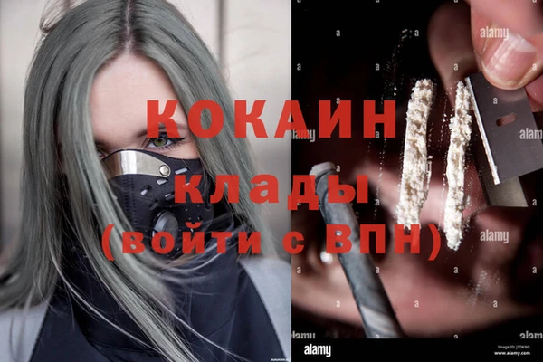 spice Дмитриев