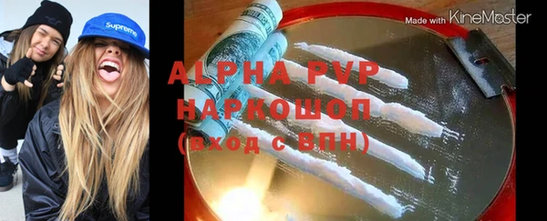 spice Дмитриев