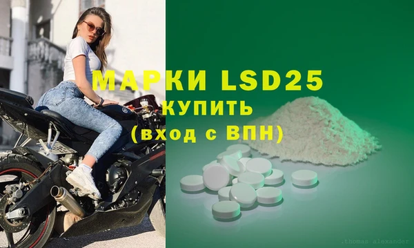 PSILOCYBIN Малоархангельск