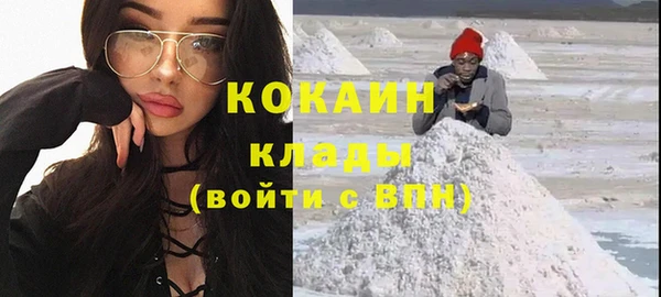 spice Дмитриев