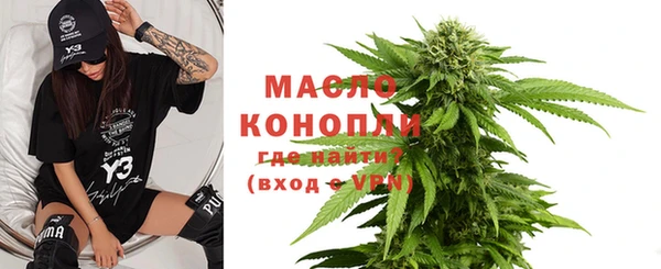 spice Дмитриев