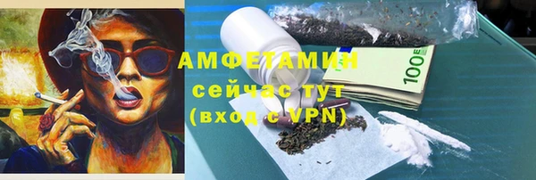 молекула духа Елабуга